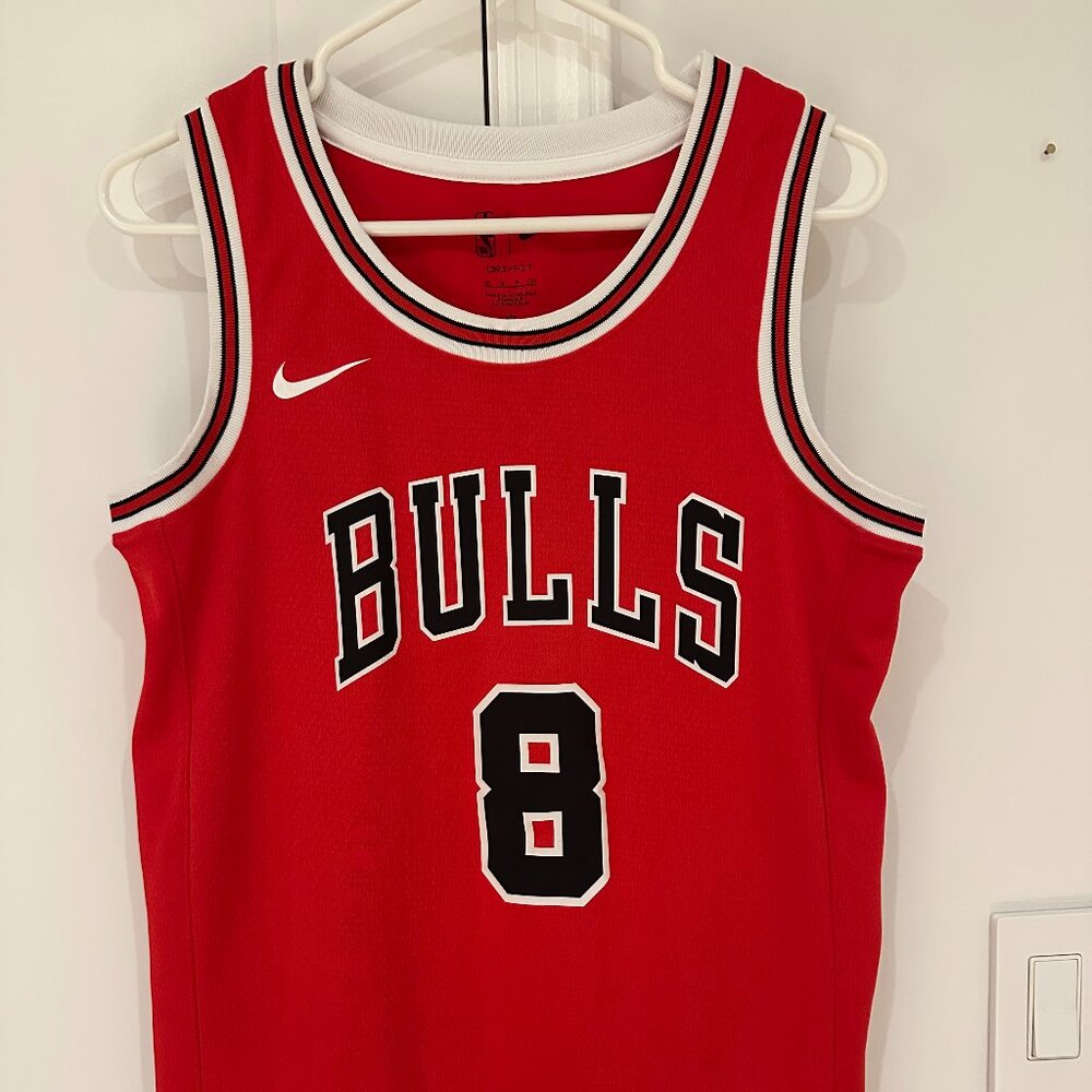 Lavine Chicago Bulls Jersey